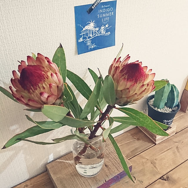 cafe-plageさんの実例写真