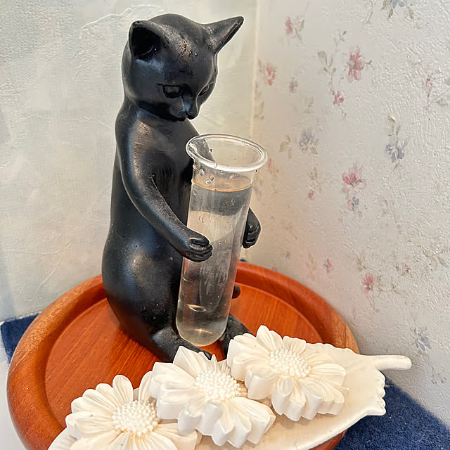 sukkorobiさんの部屋