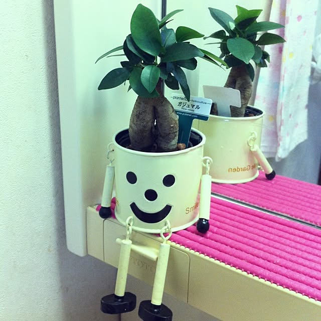 Yukiさんの実例写真