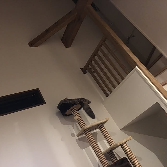 junaさんの実例写真