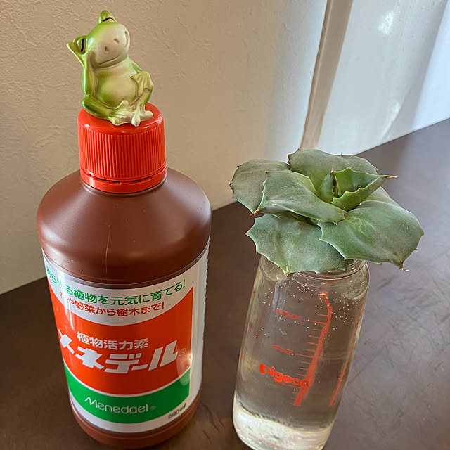koshiregutyoさんの実例写真