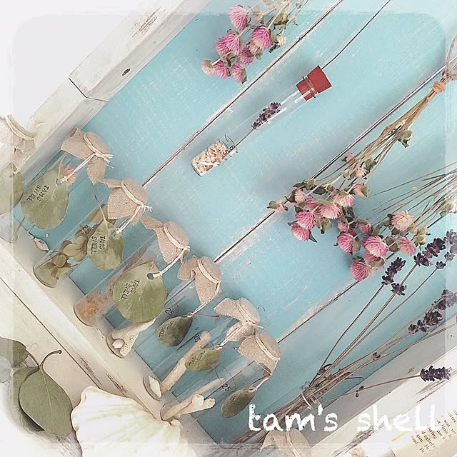 tam123さんの実例写真