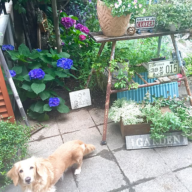 bibianさんの実例写真