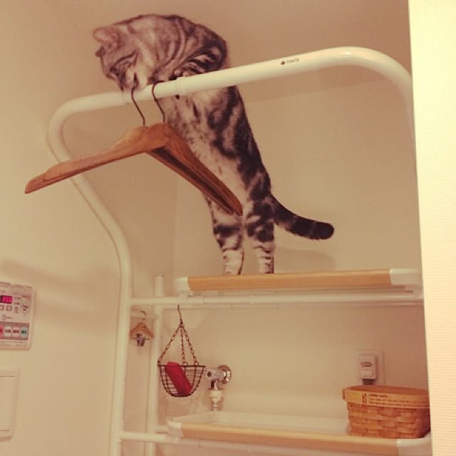 mikomaruさんの実例写真