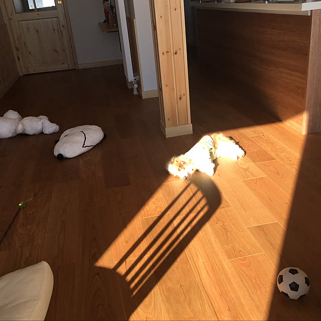 tomoteaさんの実例写真