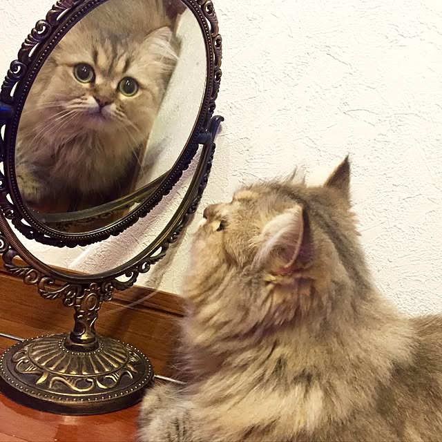 butachanさんの実例写真