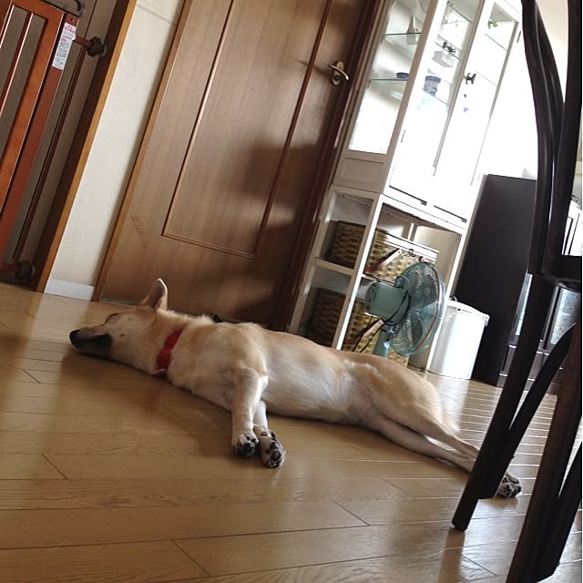 leonaさんの実例写真