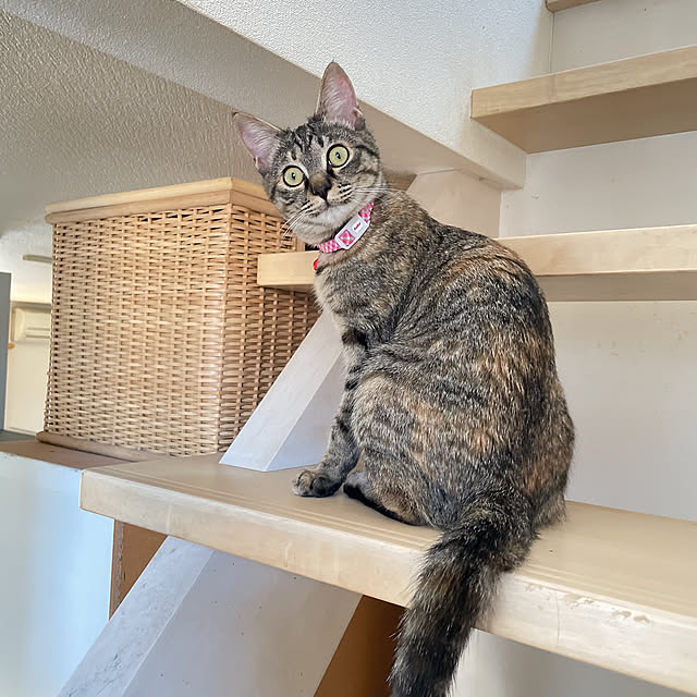 chinaさんの部屋