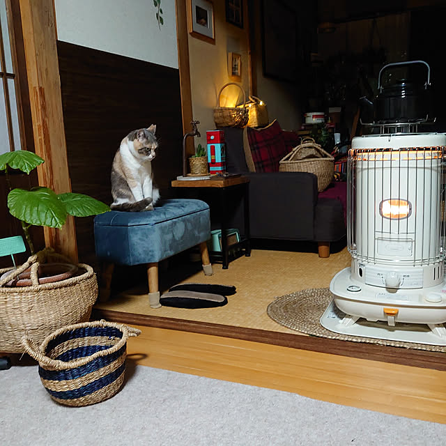 fukuさんの実例写真
