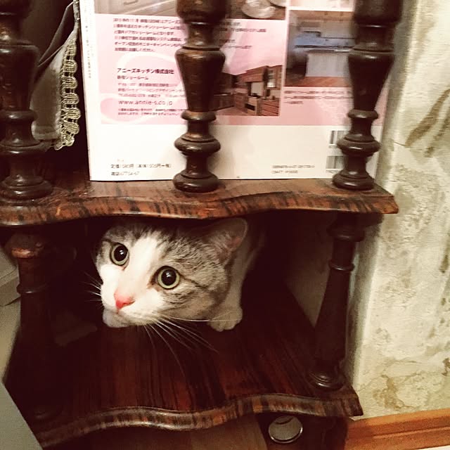 emmyyさんの実例写真