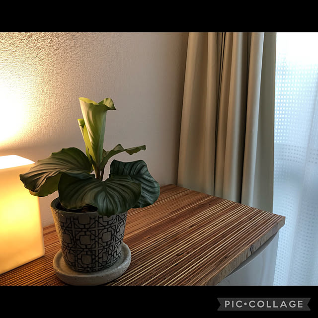 kyoko1124koさんの実例写真