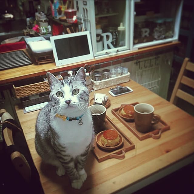 mntcさんの実例写真