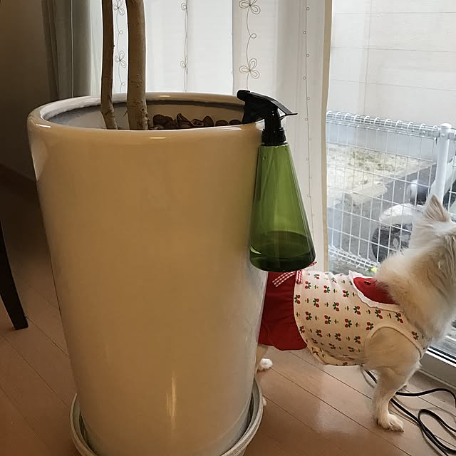 okochinさんの実例写真