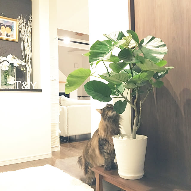 takiさんの実例写真