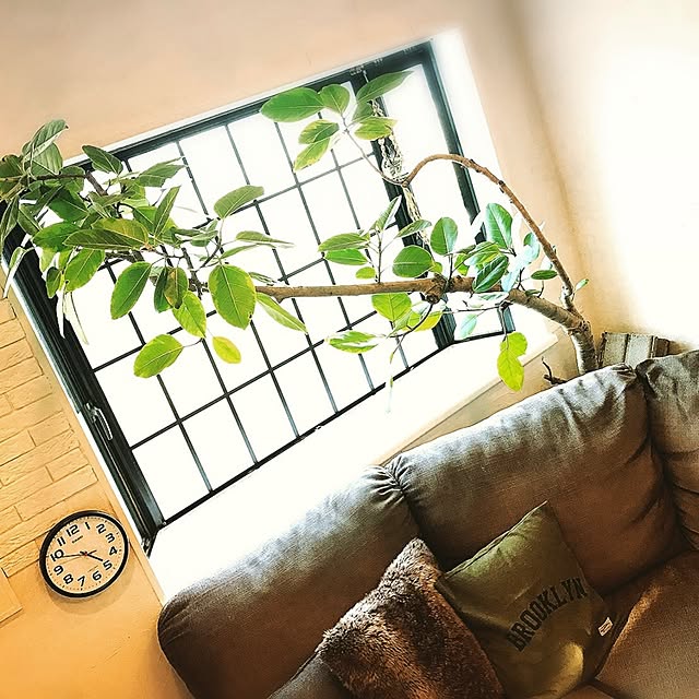 hi-tomさんの実例写真