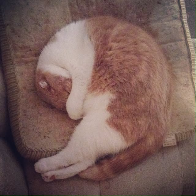 runtenさんの実例写真
