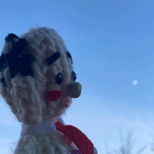 manduonmaさんの実例写真