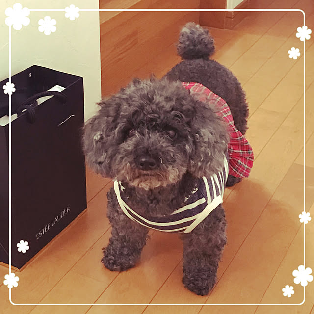 makkoさんの実例写真
