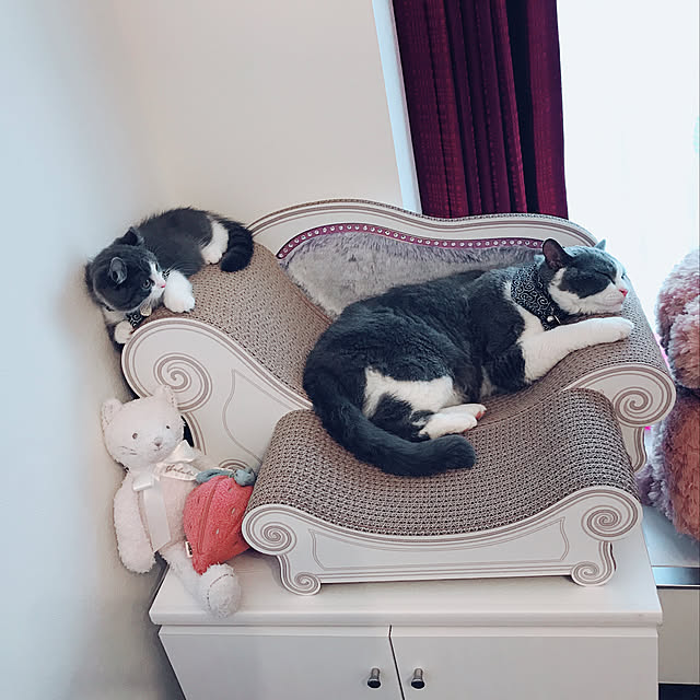nyanchuさんの実例写真