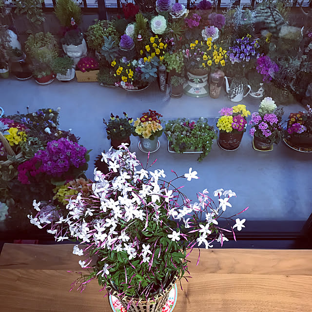 fuyiqian1026さんの実例写真