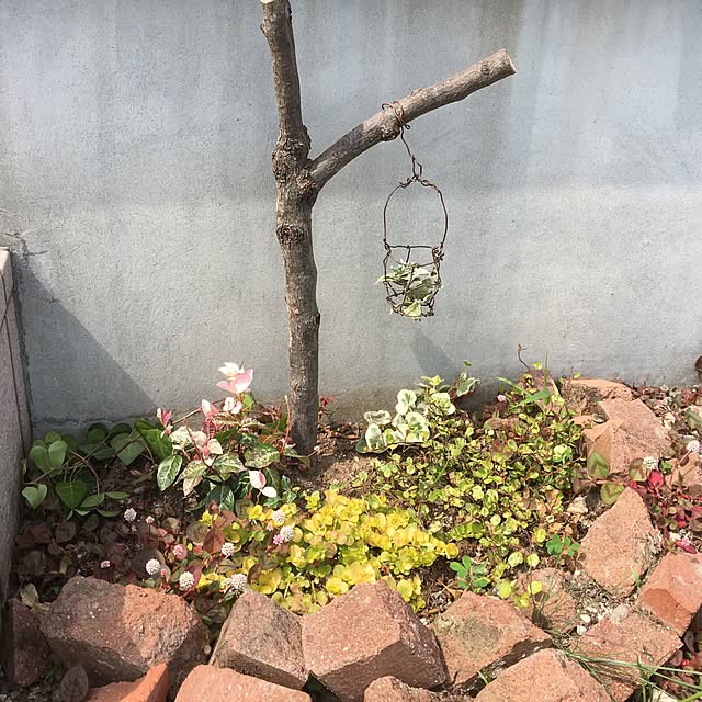 mi.....さんの実例写真