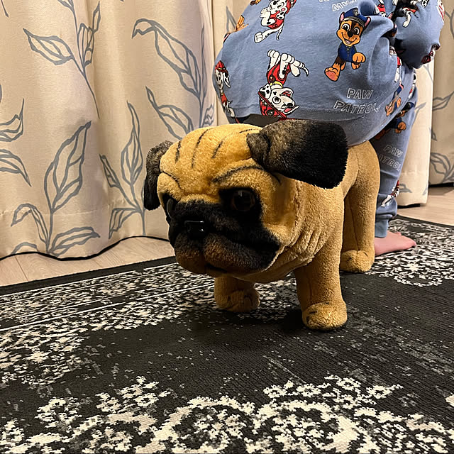 DeDeさんの実例写真