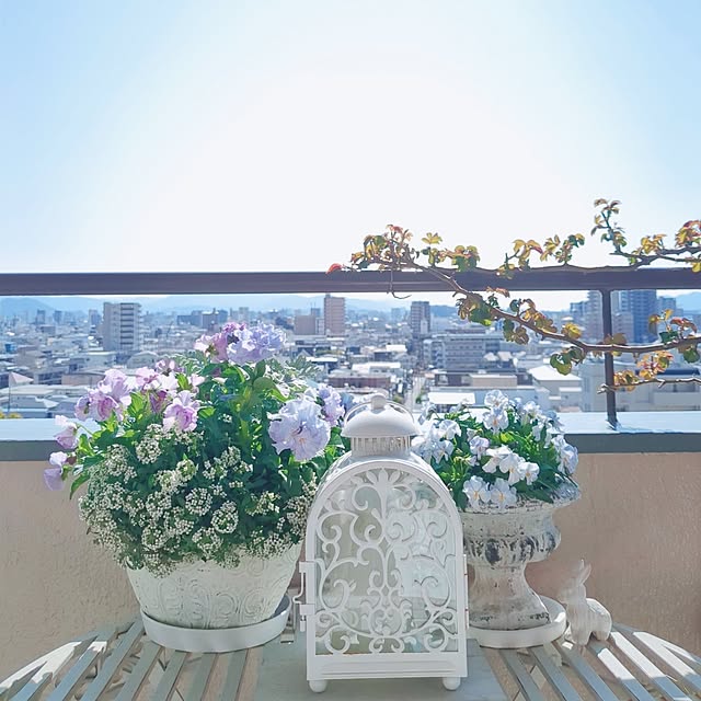 twinkle-butterfly38さんの部屋