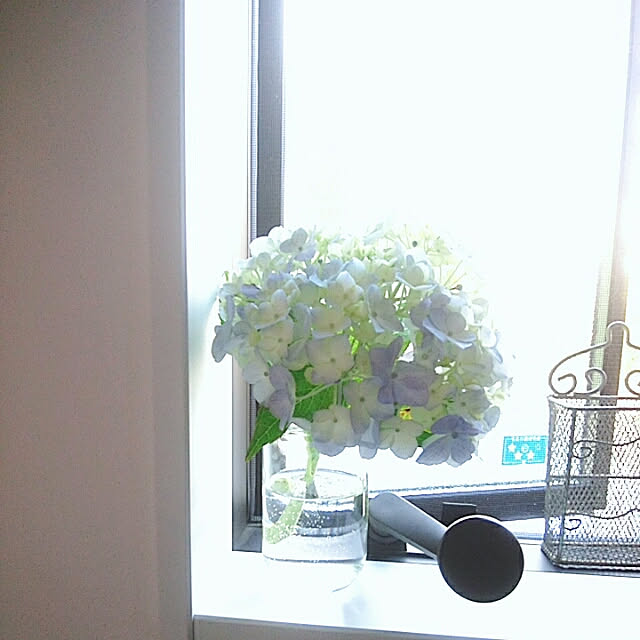 mintさんの実例写真