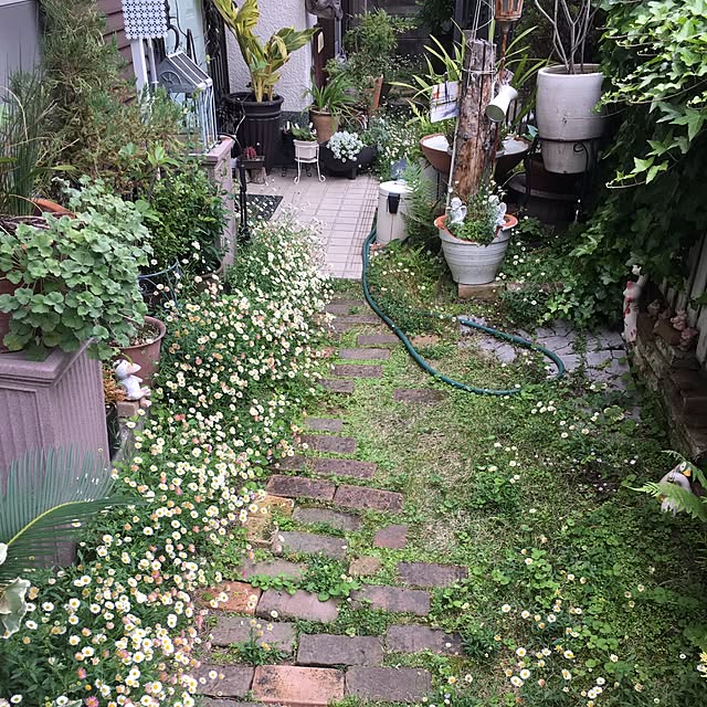 frostyさんの実例写真