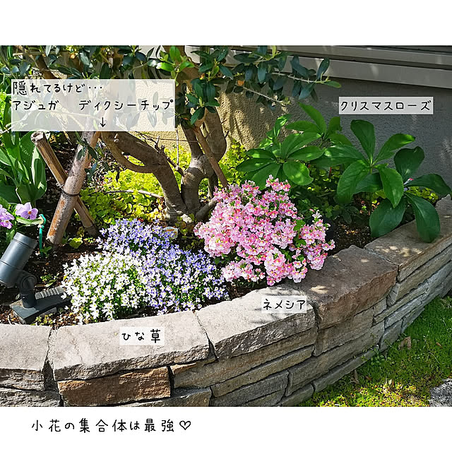 nyancoさんの実例写真