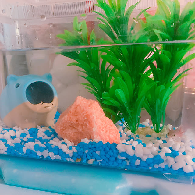totoさんの実例写真