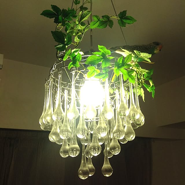 madden6789さんの実例写真