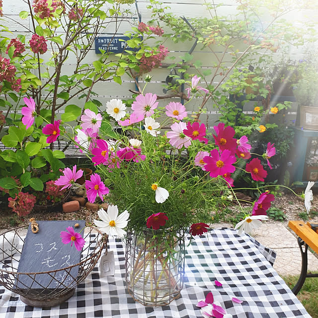 min_nimさんの実例写真