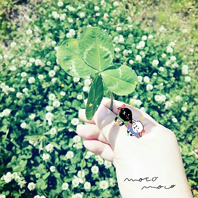 moco-mocoさんの実例写真
