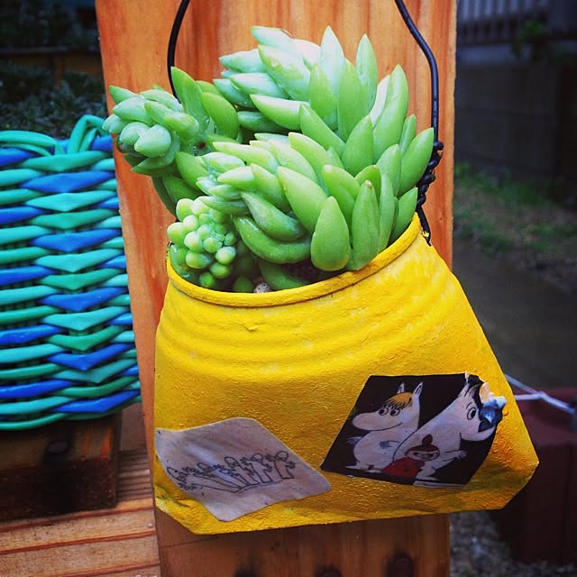 khsr86さんの実例写真