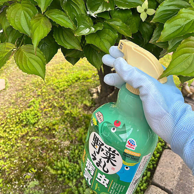 haruminさんの実例写真
