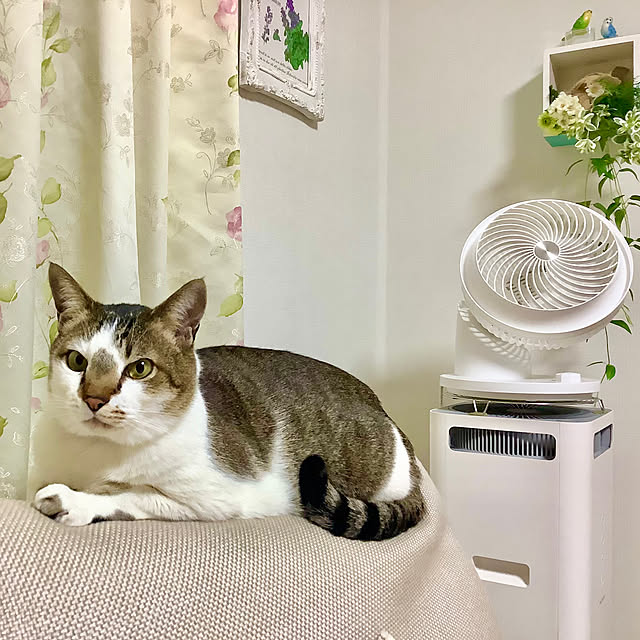 haruminさんの実例写真
