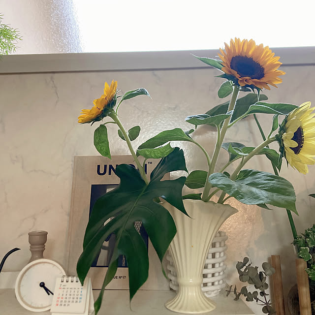 mii_home_39さんの部屋