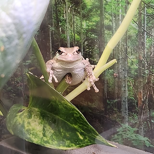Mariさんの部屋