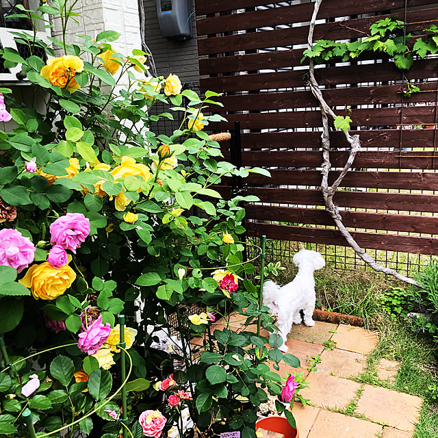 osarunoeijiさんの部屋