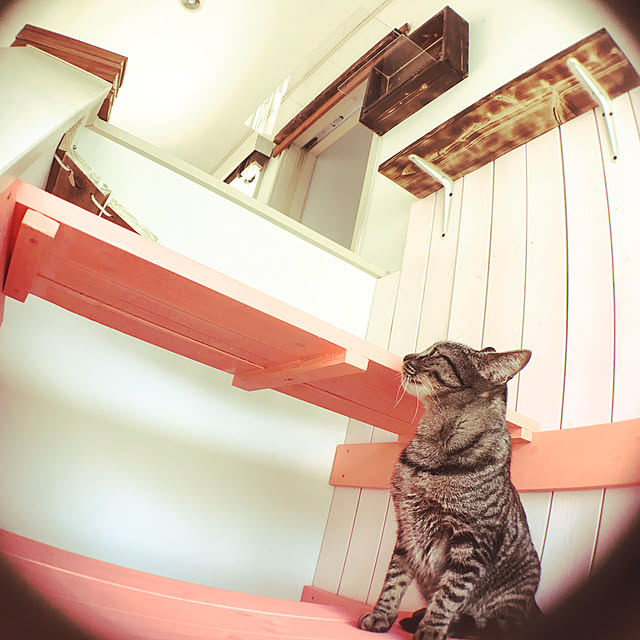 YUCHIさんの実例写真