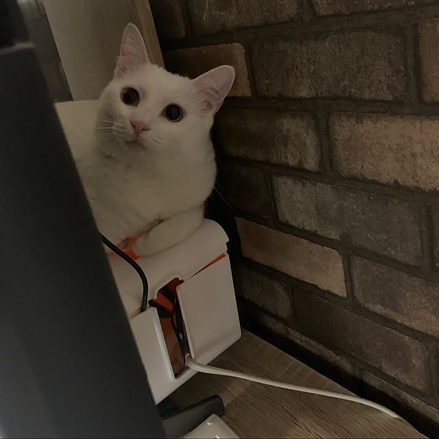 keiさんの実例写真