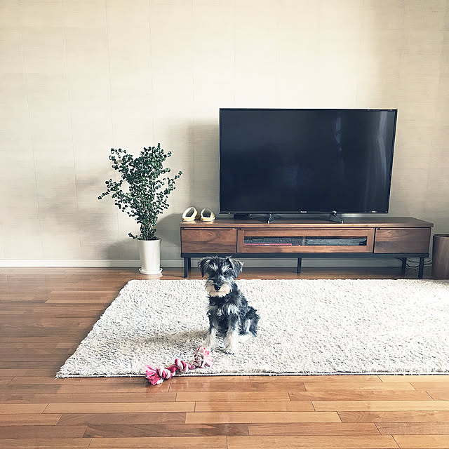 a-chanさんの実例写真