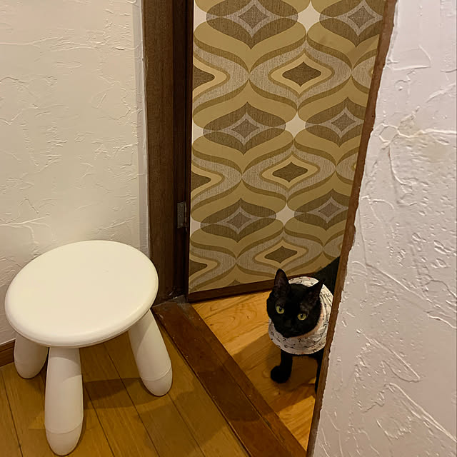 kuromiさんの実例写真
