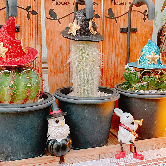 Hanakaさんの部屋