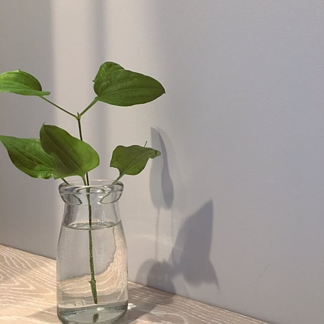 バス/トイレ/観葉植物のインテリア実例 - 2017-04-18 17:40:42