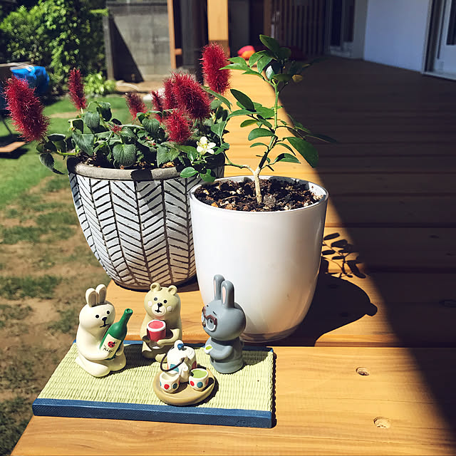 mkmkmoominさんの実例写真