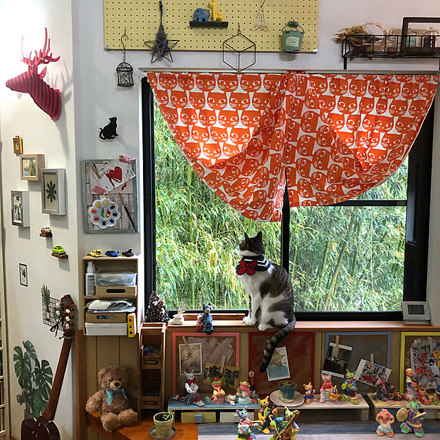 jijiさんの実例写真