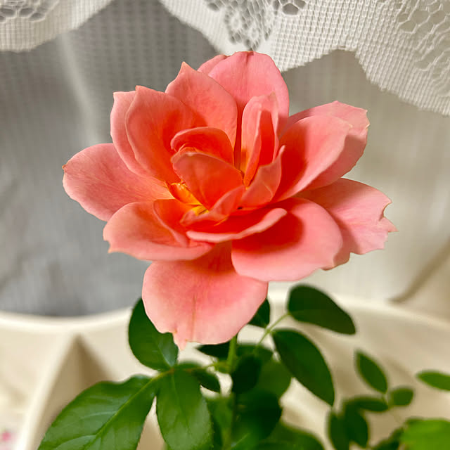 hiromimiさんの部屋