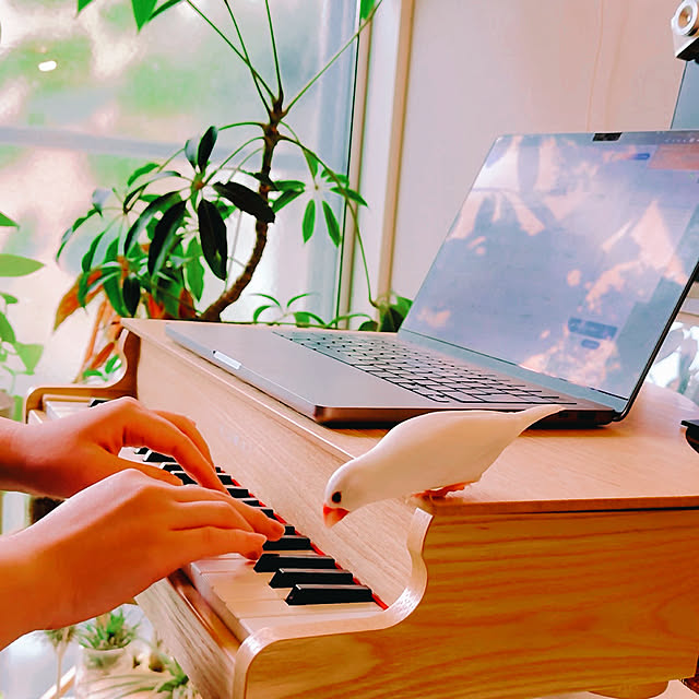 Ursulaさんの部屋